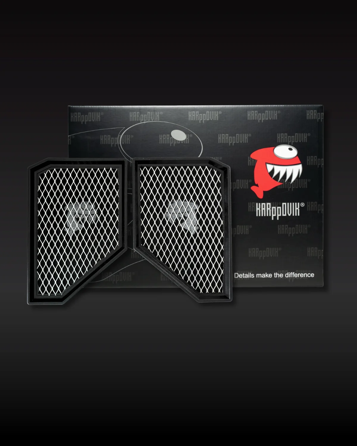 Kit 2 filtros — Filtro de ar esportivo Karppovik KF0094X2 — alto fluxo — encaixe direto BMW X5, X6, X6 M