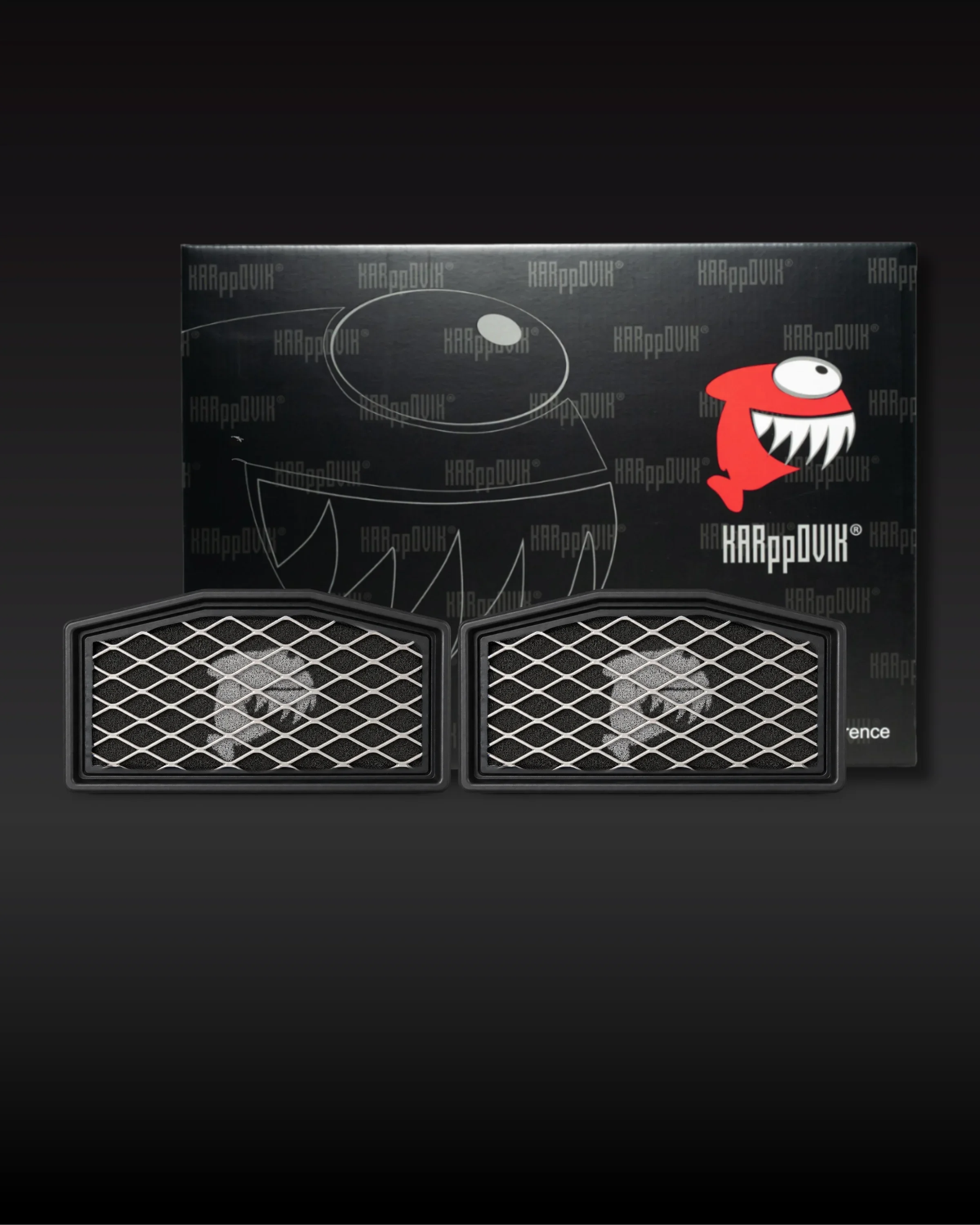 Kit 2 filtros — Filtro de ar esportivo Karppovik KF0291X2 — alto fluxo — encaixe direto BMW R 1300 GS, R 1300 GS Adventure
